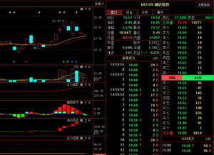 網達軟件603189 主力資金動向與明日計算機軟硬技術開發(fā)前景分析